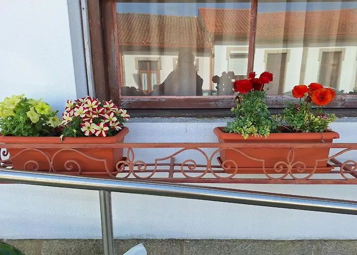 Margarida Hostel Viana do Castelo