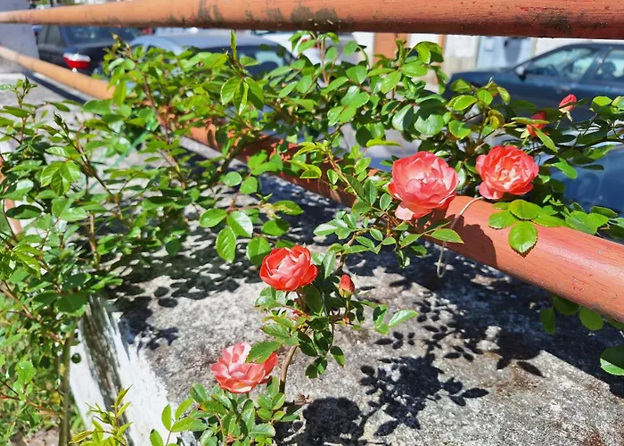 Margarida * Viana do Castelo