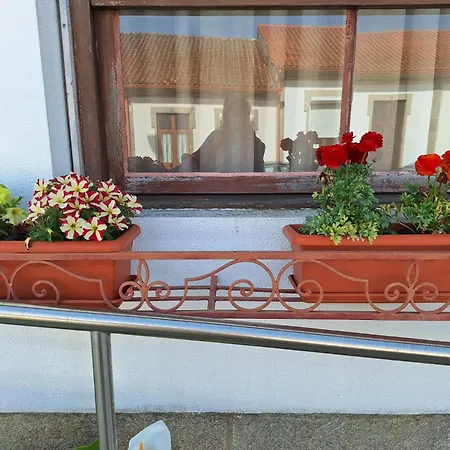 Margarida Hostel Viana do Castelo