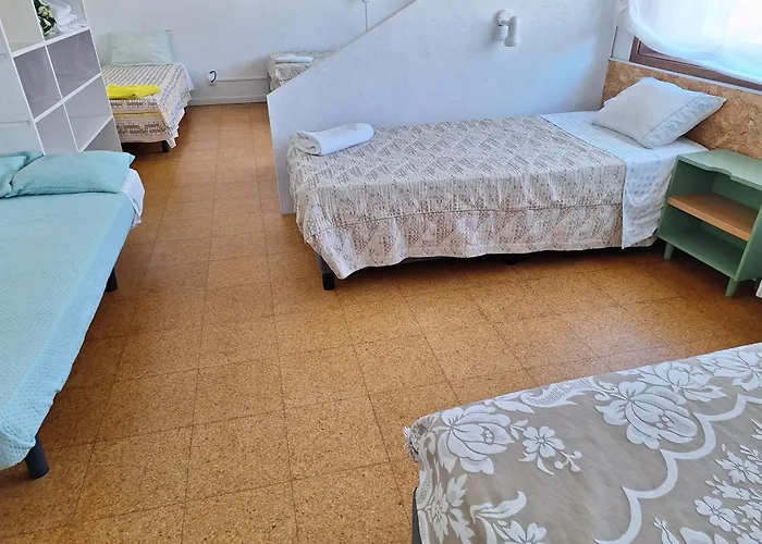 Margarida 비아나도카스텔로