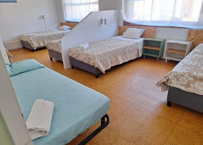 Margarida * 비아나도카스텔로